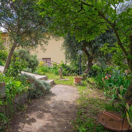 Villa Panoramica Garden Bike Massa Marittima Kültér fotó