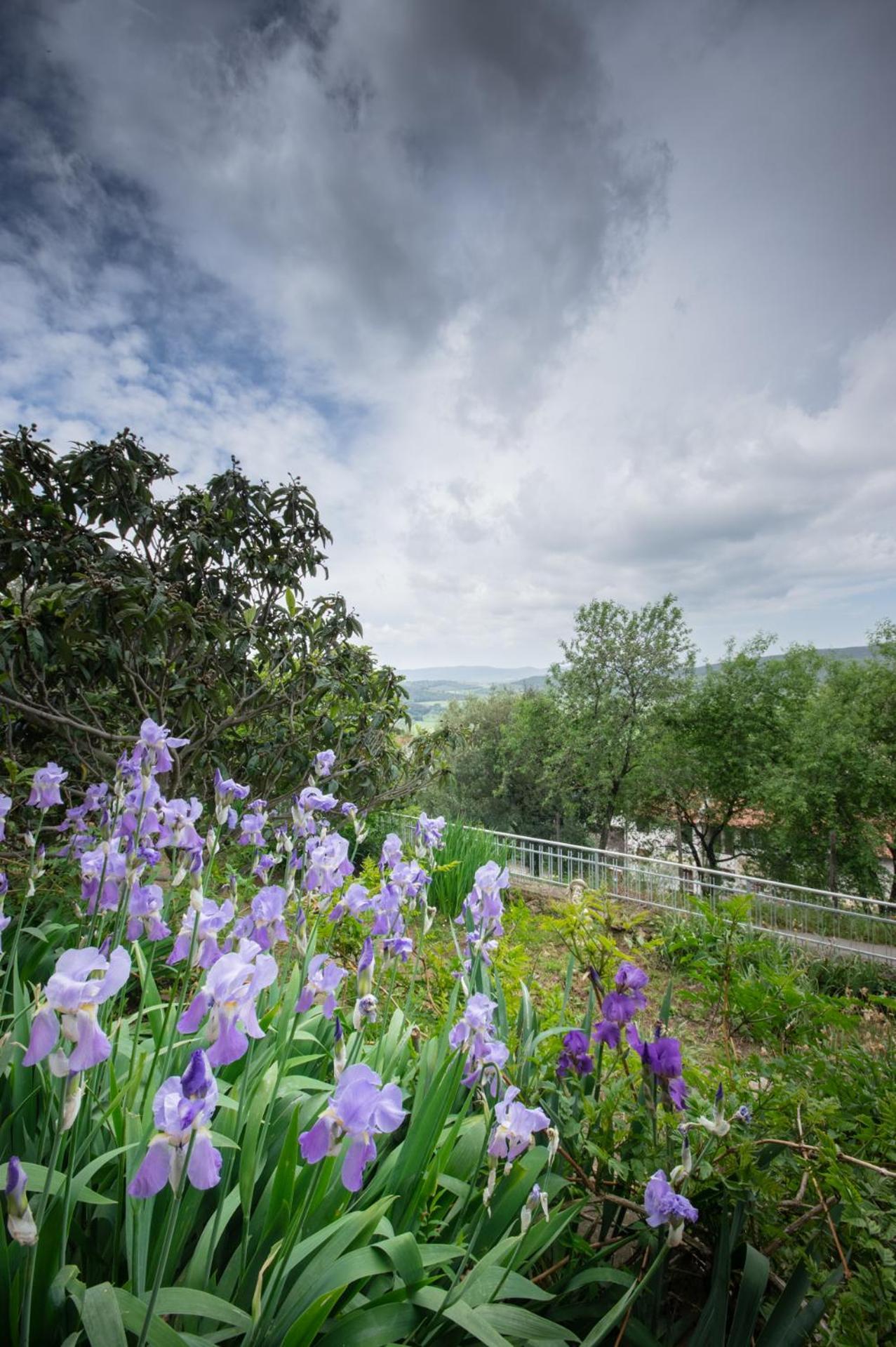 Villa Panoramica Garden Bike Massa Marittima Kültér fotó
